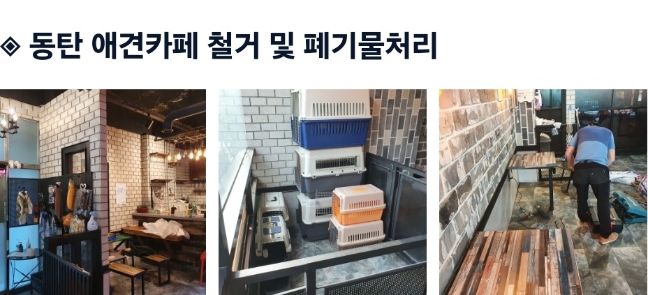 갤러리 사진