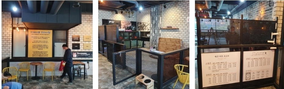 갤러리 사진